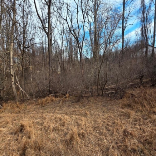 4 Apple Trail